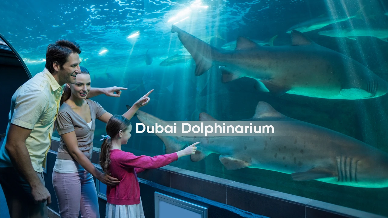 parents and child watching sharks inside aquarium tunnel at Dubai Dolphinarium Dubai