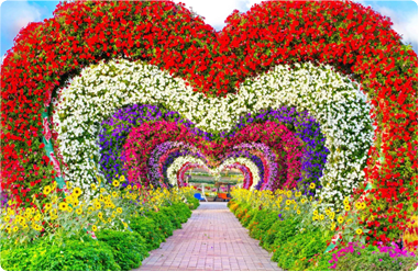 Miracle Garden Dubai