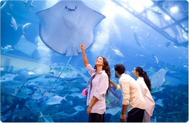Dubai Aquarium & Underwater Zoo