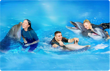 Dubai Dolphinarium