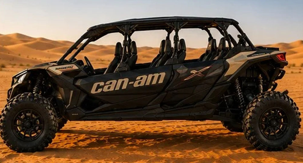 Polaris RZR 1000cc