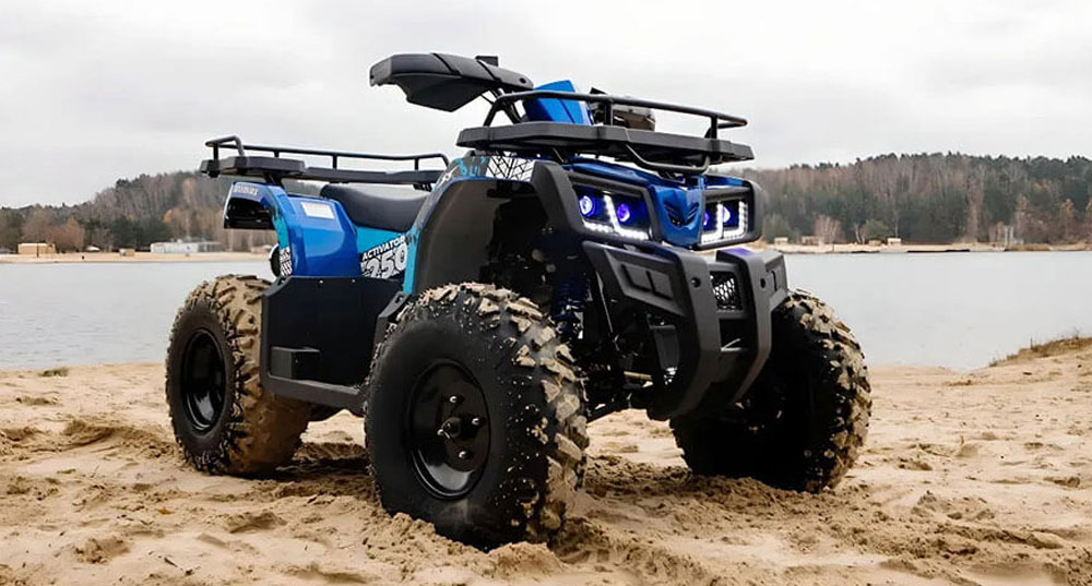 Extreme Desert Buggy Ride